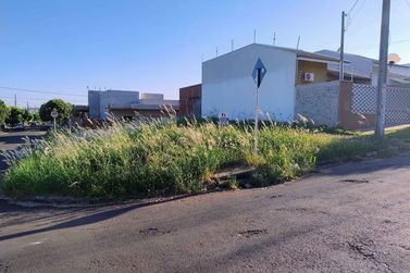 Terreno &agrave; venda - 220m&sup2; - Jardim Modelo