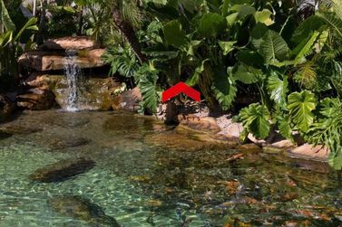 Ch&aacute;cara &agrave; venda - 2500m&sup2; - Condom&iacute;nio Lagoa Dourada