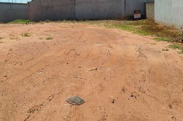 Terreno &agrave; venda - 167m&sup2; - Jardim Janina