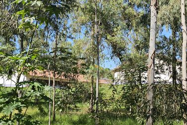 S&iacute;tio &agrave; venda - 7m&sup2; - SERRA DOS DOURADOS