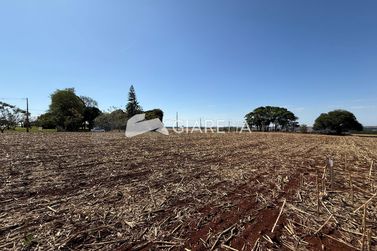 Terreno &agrave; venda - 606m&sup2; - VILA IPIRANGA