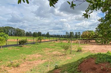 Ch&aacute;cara &agrave; venda - 40m&sup2; - -