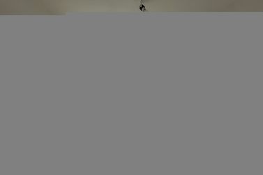 Apartamento para alugar - 61m&sup2; - Zona IA