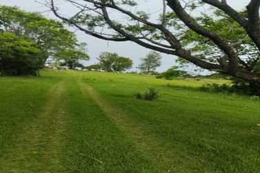 Ch&aacute;cara &agrave; venda - 