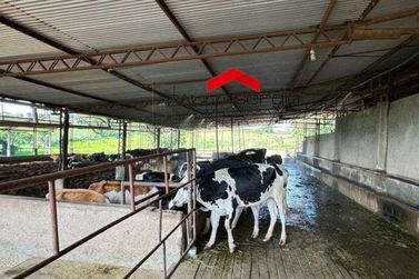 Ch&aacute;cara &agrave; venda - 370m&sup2; - Jardim Universit&aacute;rio