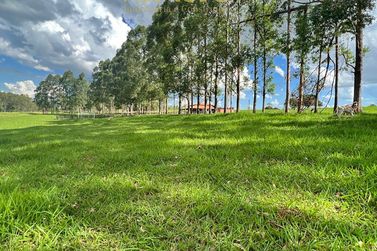 Ch&aacute;cara &agrave; venda - 20000m&sup2; - Estrada  Jaborandi