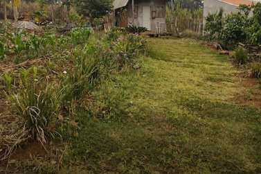 Ch&aacute;cara &agrave; venda - 1000m&sup2; - Zona Rural