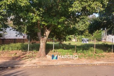 Terreno &agrave; venda - 708m&sup2; - Zona III
