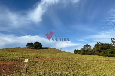 Ch&aacute;cara &agrave; venda - &Aacute;rea Rural de Umuarama