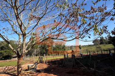 Ch&aacute;cara &agrave; venda - &Aacute;rea Rural