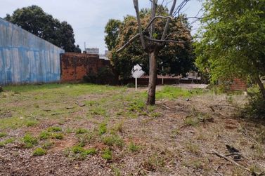 Terreno &agrave; venda - 667m&sup2; - Zona I-A