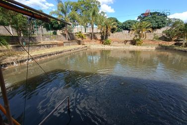 Fazenda &agrave; venda - 2500m&sup2; - Sa&iacute;da Para Serra dos Dourados