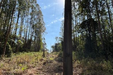 Fazenda &agrave; venda - 52598m&sup2; - Zona Rural