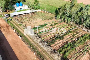 Ch&aacute;cara &agrave; venda - 48400m&sup2; - Santa Eliza