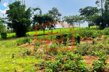 S&iacute;tio &agrave; venda - Estrada Palmital