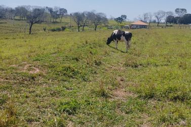 S&iacute;tio &agrave; venda - 16000m&sup2; - Antartica