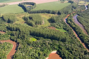 Fazenda &agrave; venda - 72m&sup2; - PR-468