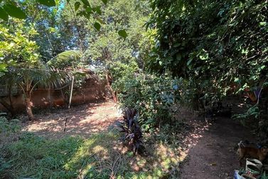 Terreno &agrave; venda - 114m&sup2; - ZONA I