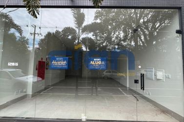 Apartamento para alugar - 60m&sup2; - Zona II