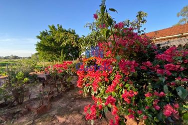 Ch&aacute;cara &agrave; venda - 4m&sup2; - Serra dos Dourados