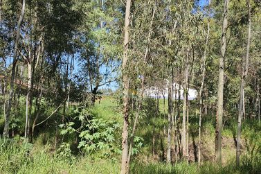 S&iacute;tio &agrave; venda - 7m&sup2; - SERRA DOS DOURADOS