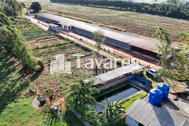 Ch&aacute;cara &agrave; venda - 48400m&sup2; - Santa Eliza