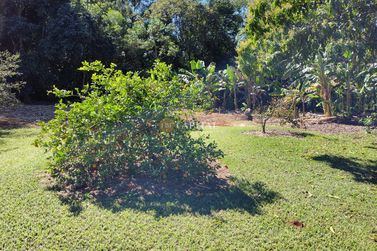 Ch&aacute;cara &agrave; venda - 369m&sup2; - Jardim T&oacute;quio