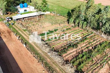 Ch&aacute;cara &agrave; venda - 48400m&sup2; - Santa Eliza