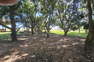 S&iacute;tio &agrave; venda - 7m&sup2; - SERRA DOS DOURADOS