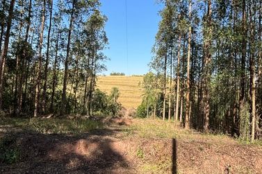 Fazenda &agrave; venda - 27383m&sup2; - Zona Rural