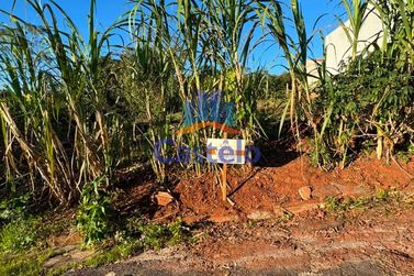 Terreno &agrave; venda - 163m&sup2; - JARDIM IRENE
