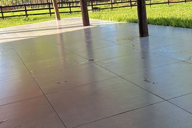 Ch&aacute;cara &agrave; venda - 20000m&sup2; - Estrada  Jaborandi