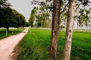 Ch&aacute;cara &agrave; venda - 20000m&sup2; - Estrada  Jaborandi