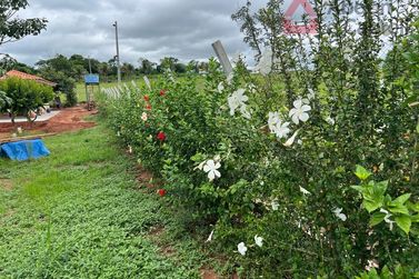 Ch&aacute;cara &agrave; venda - 400m&sup2; - Gleba Figueira