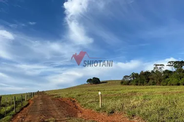 Ch&aacute;cara &agrave; venda - &Aacute;rea Rural de Umuarama