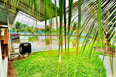 S&iacute;tio &agrave; venda - Rodovia Antonio Pedroso