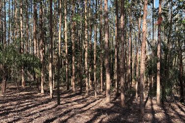 Fazenda &agrave; venda - 52598m&sup2; - Zona Rural