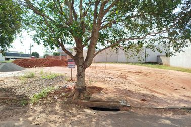Terreno &agrave; venda - 149m&sup2; - Jardim Janina II