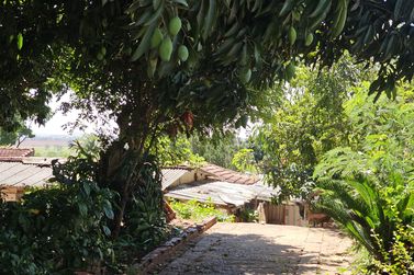 Terreno &agrave; venda - 616m&sup2; - Zona 5