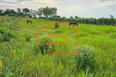 Ch&aacute;cara &agrave; venda - 21000m&sup2; - Zona Rural