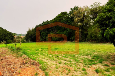 Ch&aacute;cara &agrave; venda - 7000m&sup2; - As margens da rodovia PR-323