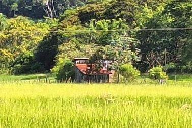 S&iacute;tio &agrave; venda - 7m&sup2; - Conjunto Habitacional Sonho Meu
