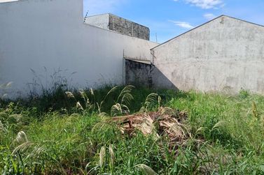 Terreno &agrave; venda - 187m&sup2; - Parque Alto da Paran&aacute;