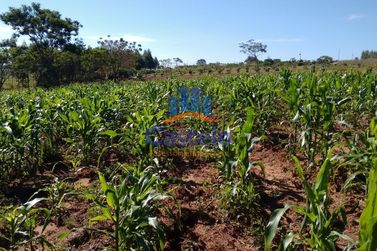 Ch&aacute;cara &agrave; venda - 5000m&sup2; - &Aacute;rea Rural de Umuarama