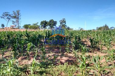 Ch&aacute;cara &agrave; venda - 5000m&sup2; - &Aacute;rea Rural de Umuarama