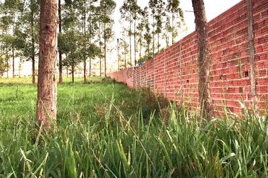Ch&aacute;cara &agrave; venda - 20000m&sup2; - Estrada Jaborandi