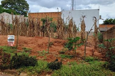 Terreno &agrave; venda - 292m&sup2; - Parque Irani