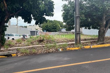 Terreno &agrave; venda - 204m&sup2; - Parque Alphaville