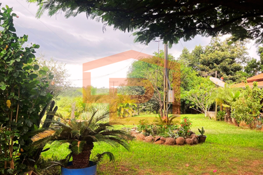 S&iacute;tio &agrave; venda - Estrada Palmital