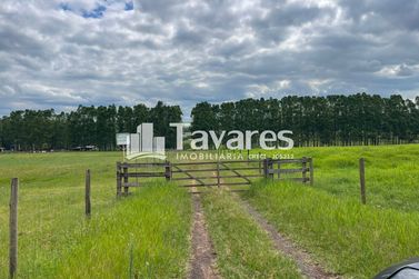 Ch&aacute;cara &agrave; venda - 20000m&sup2; - &Aacute;rea Rural de Umuarama